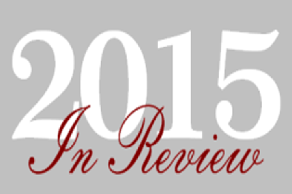 The Essay Expert’s 2015 Media Year in Review
